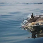 Apartamento Oásis Tropical, Jardim E Piscina!